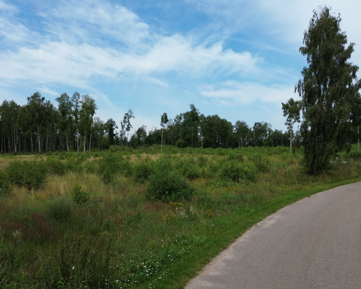 Działka Sprzedaż Dąbrowica