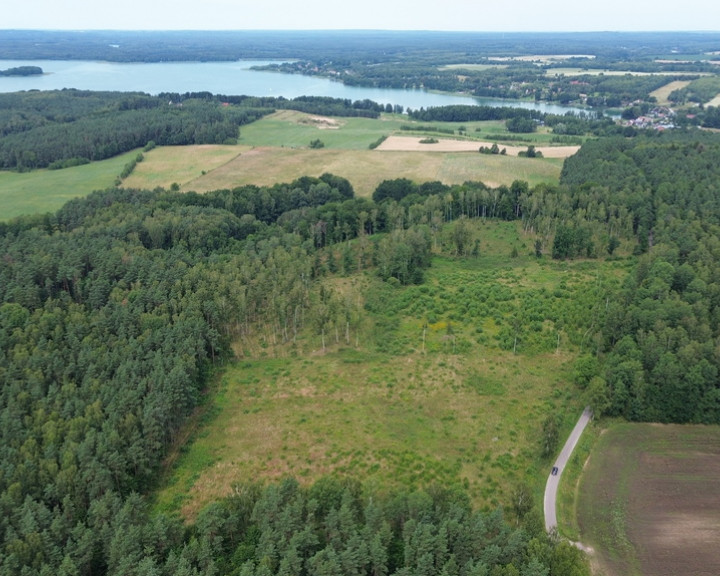 Działka Sprzedaż Dąbrowica