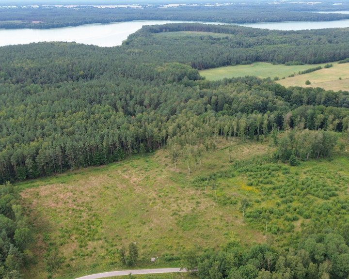 Działka Sprzedaż Dąbrowica