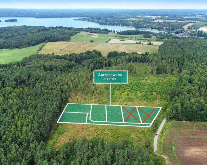 Działka Sprzedaż Dąbrowica