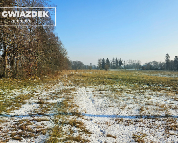 Działka Sprzedaż Szczecinek