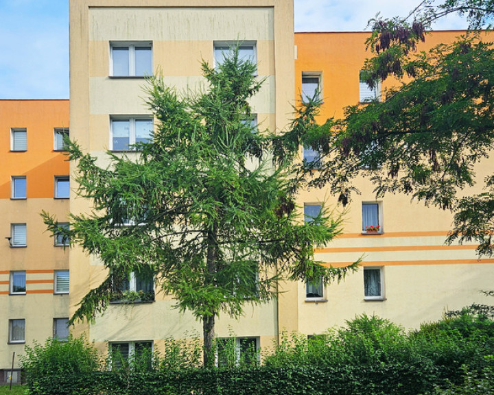 Mieszkanie Sprzedaż Szczecinek Kościuszki