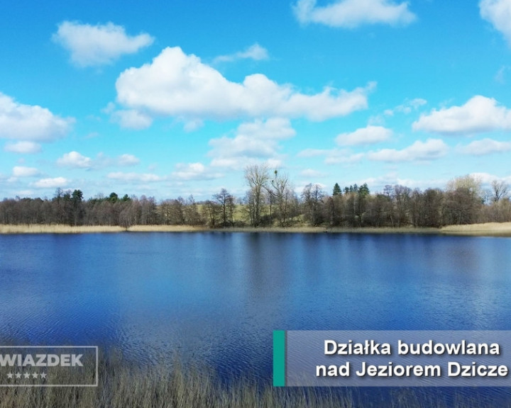 Działka Sprzedaż Dziki